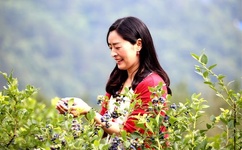 欧洲高清videosexond